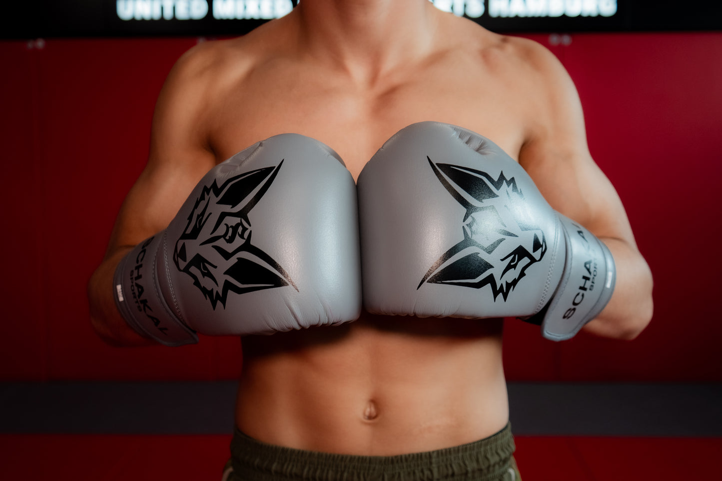 Schakalsports Boxhandschuhe MMA-Handschuhe grau