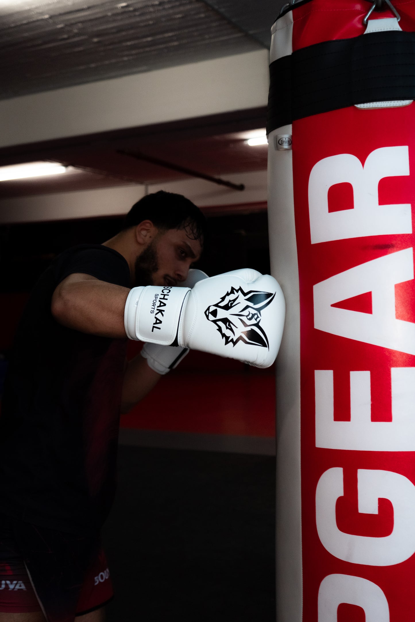Schakalsports Boxhandschuhe MMA-Handschuhe weiß