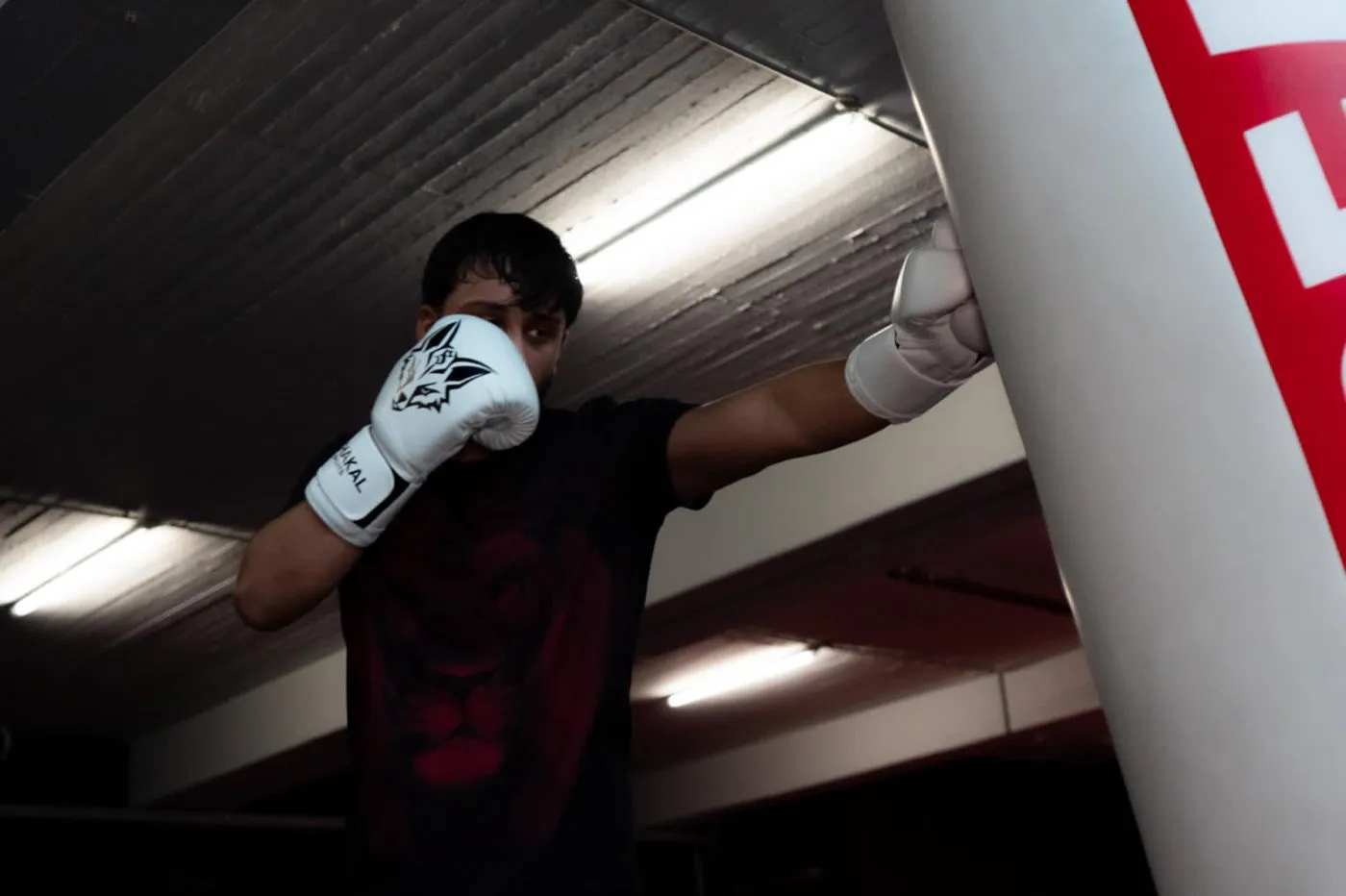 Athlet mit Schakal-Boxhandschuhen im Gym