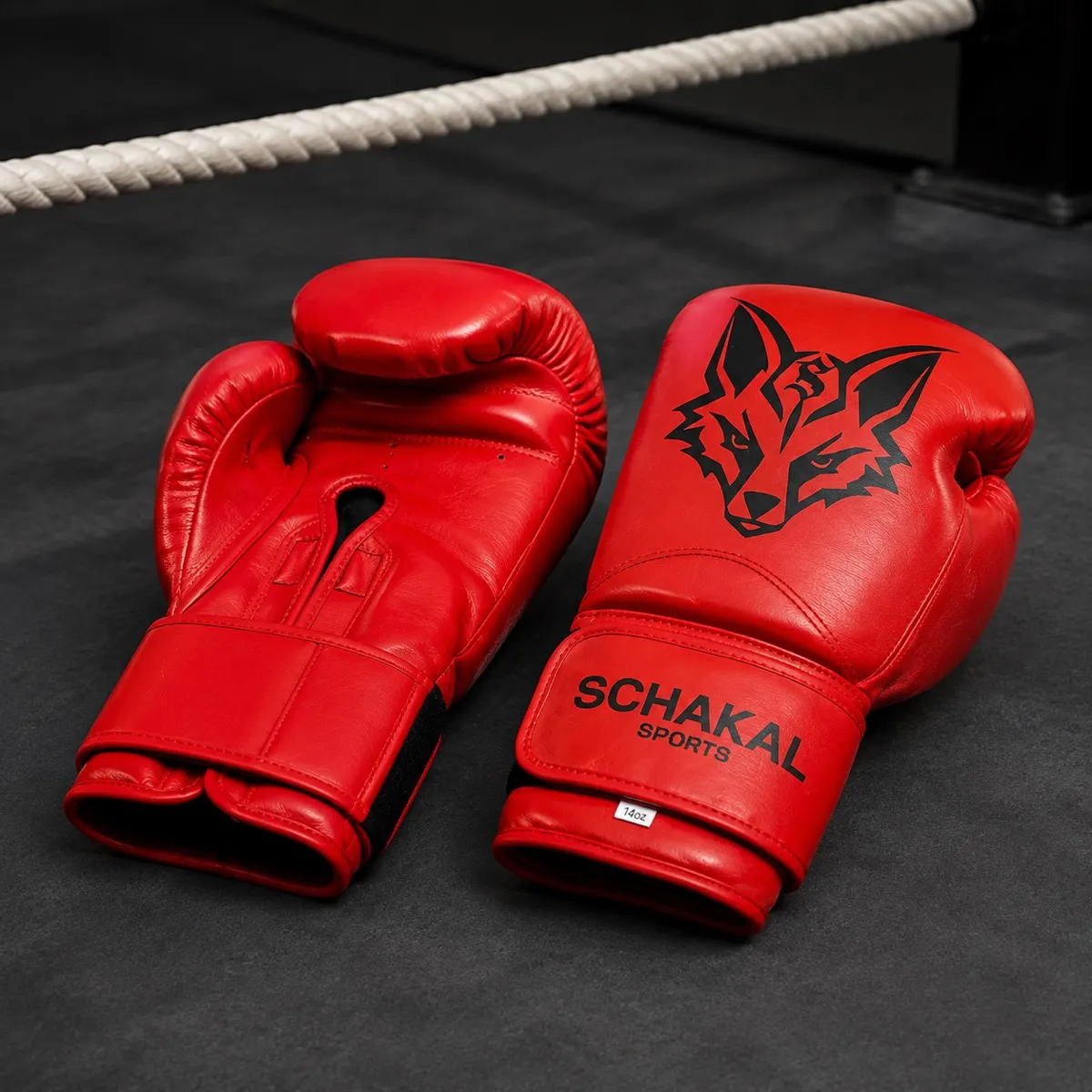 Rote Schakal-Boxhandschuhe auf dem Hallenboden am Boxring, darüber das gespannte Ringseil